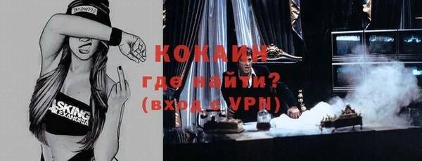 спиды Магас