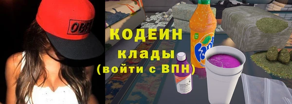 индика Майский