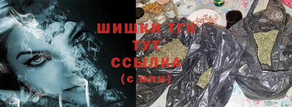 индика Майский