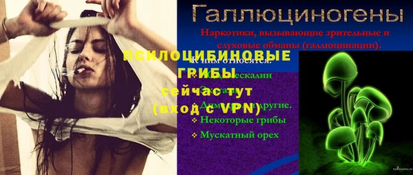 дживик Магадан