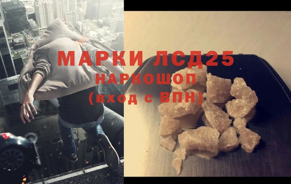 спиды Магас