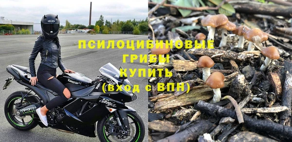 индика Майский