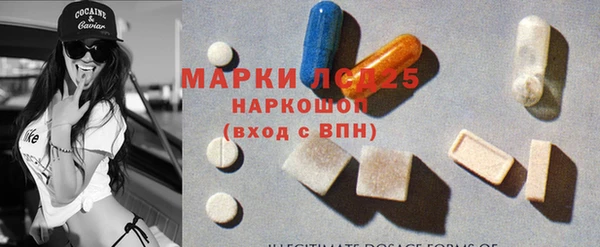 индика Майский