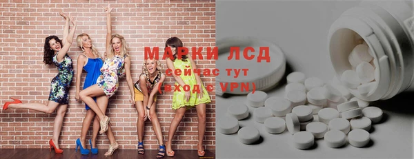 спиды Магас