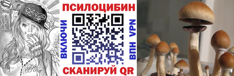 Псилоцибиновые грибы Psilocybe  blacksprut рабочий сайт  Новоуральск  продажа наркотиков 