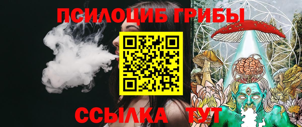 Псилоцибиновые грибы Psilocybe Новоуральск