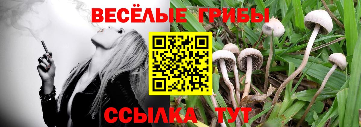 Псилоцибиновые грибы GOLDEN TEACHER  Галлюциногенные грибы мухоморы  Вход с VPN  Новоуральск 