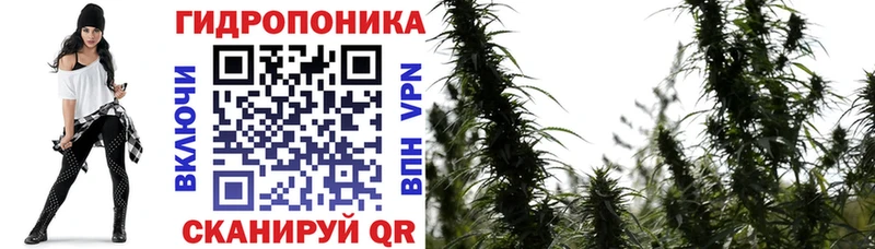 Марихуана семена  Новоуральск 